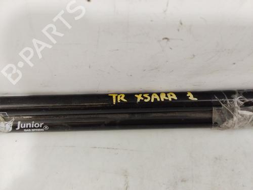 Tailgate lift support CITROËN XSARA (N1)  | BP23848578C138 