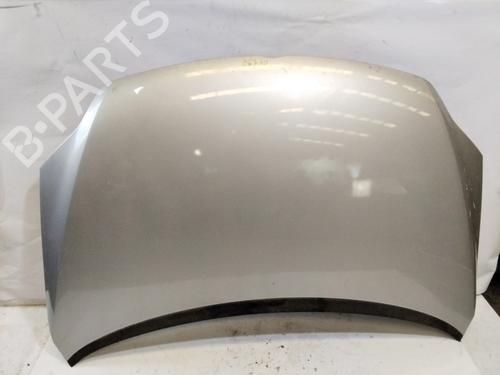Hood VW GOLF PLUS V (5M1, 521) 1.9 TDI | BP18484104C1 