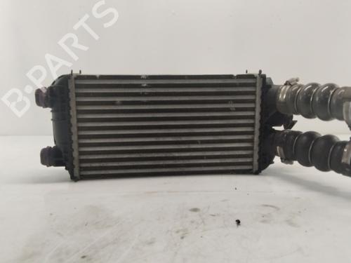 Intercooler CITROËN C4 II (NC_) 1.2 THP 110 (NCHNZ6, NCHNV6) | BP27818291M30