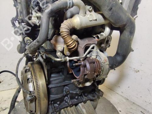 Engine SEAT IBIZA III (6L1)  | BP36542117M1  - Image 6