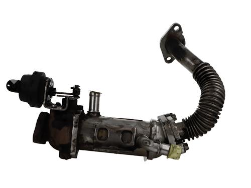 Egr NISSAN PRIMASTAR Van (X83) | BP30400342M69