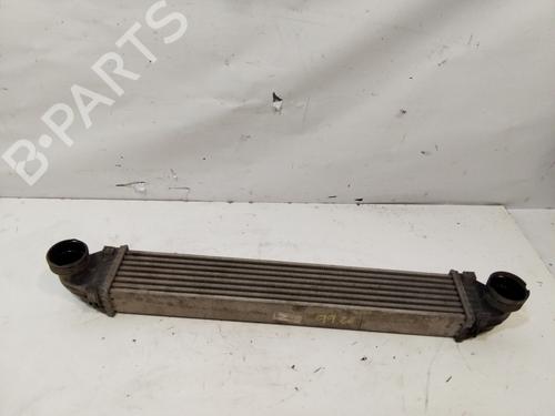 Intercooler MERCEDES-BENZ A-CLASS (W169) A 160 CDI (169.006, 169.306) | BP29441078M30 
