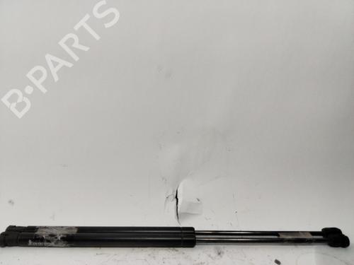 Tailgate lift support SEAT IBIZA III (6L1)  | BP29289197C138 