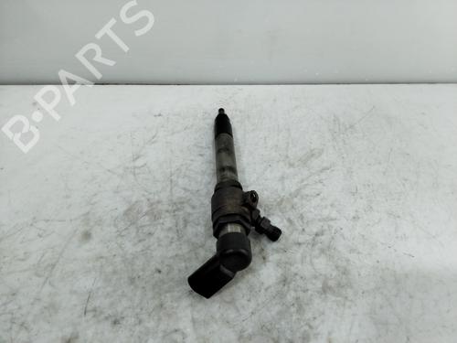 Injector JAGUAR XJ (X350, X358) D 2.7 | BP18489060M100 