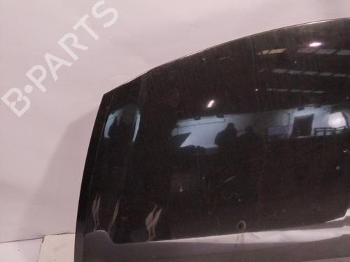 Hood RENAULT CLIO III (BR0/1, CR0/1)  | BP24989064C1 
