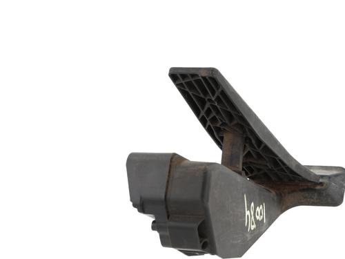 Pedal BMW X1 (E84) sDrive 20 d | BP29905803I4