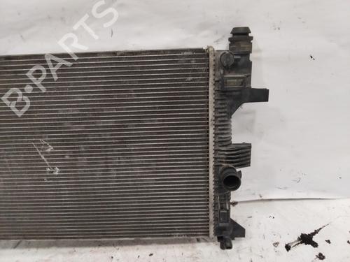 Water radiator FORD TRANSIT CONNECT V408 Box Body/MPV  | BP29547665M31 
