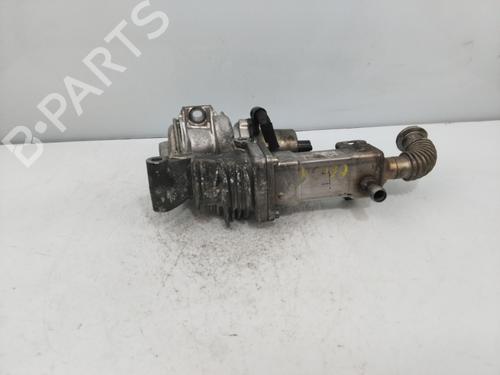 Egr RENAULT GRAND SCÉNIC II (JM0/1_) 1.9 dCi (JM0G, JM12, JM1G, JM2C) | BP17837834M69 