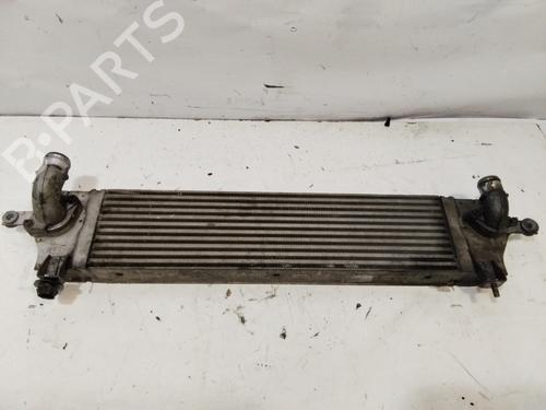 Intercooler NISSAN QASHQAI I (J10, NJ10)  | BP29634769M30 