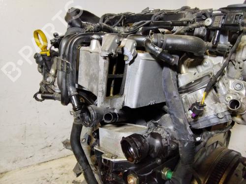 Engine VW SCIROCCO III (137, 138)  | BP36315359M1  - Image 20