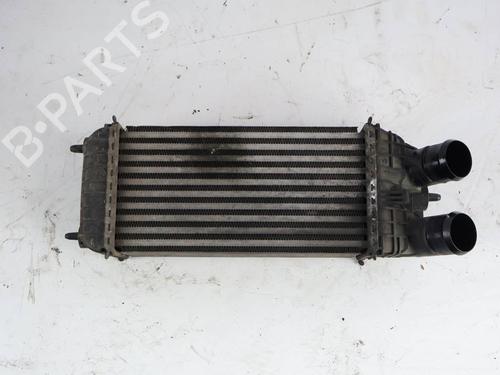 Used Intercooler Intercooler PEUGEOT 208 I (CA_, CC_) [2012-2021] 39692137 39692137