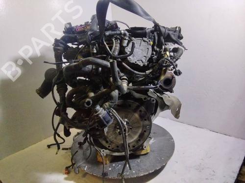 Engine AUDI Q5 (8RB) | BP40011199M1 - Image 6