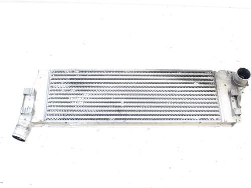 Intercooler RENAULT MEGANE II (BM0/1_, CM0/1_) 1.5 dCi (BM02, BM13, BM2A, CM02, CM13) (101 hp) 17118273