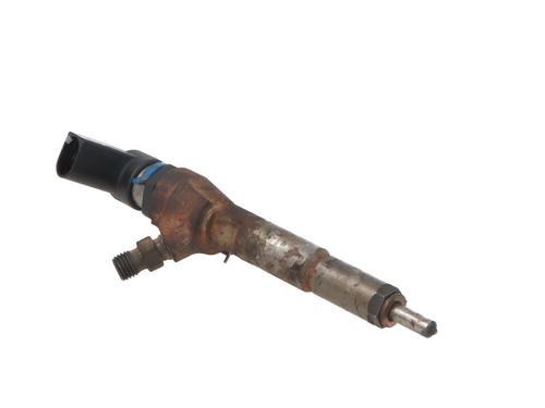 Injector FORD TRANSIT CONNECT (P65_, P70_, P80_) 1.8 TDCi | BP31113974M100