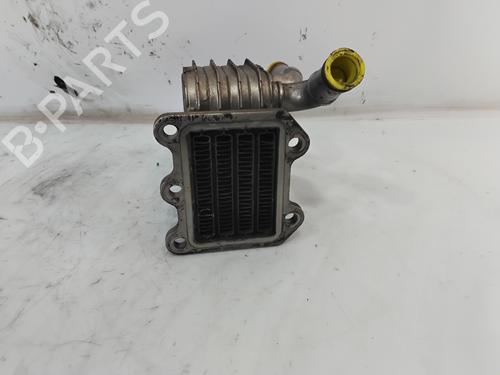 Egr CHRYSLER VOYAGER IV (RG, RS)  | BP30102378M69 