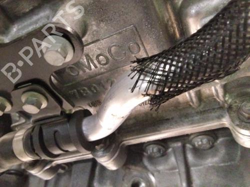 Gearbox FORD KUGA III (DFK) | BP25895899M3