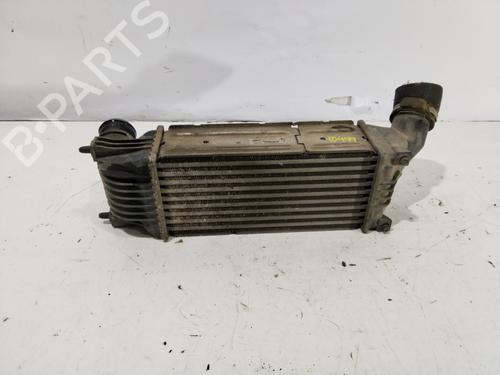 Ladeluftkühler für CITROËN C5 II (RC_) [2004-2008]  31093935