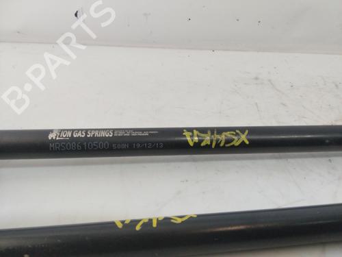 Tailgate lift support CITROËN XSARA (N1) | BP29905987C138