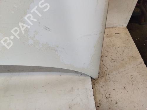 Hood RENAULT CLIO III (BR0/1, CR0/1)  | BP19804579C1 