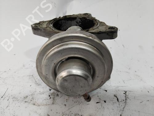 Egr AUDI A3 (8P1) | BP29020846M69