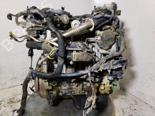 Used Engine Engine FORD ECOSPORT 1.5 EcoBlue TDCi (95 hp) 36343632 36343632