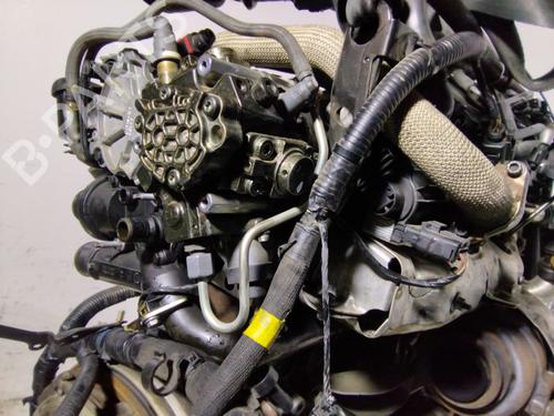 Engine LAND ROVER RANGE ROVER EVOQUE (L538)  | BP33295682M1  - Image 13