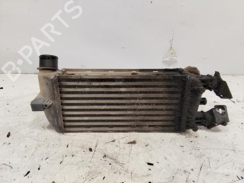 Intercooler FIAT 500 (312_) 1.3 D Multijet (312AXB1A) (75 hp) 28369207