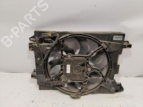 Used Radiator fan RENAULT ZOE (BFM_) [2012-2025]  28814040
