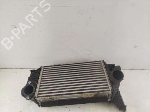 Used Intercooler HYUNDAI TUCSON (NX4E, NX4A) [2020-2025]  24310740