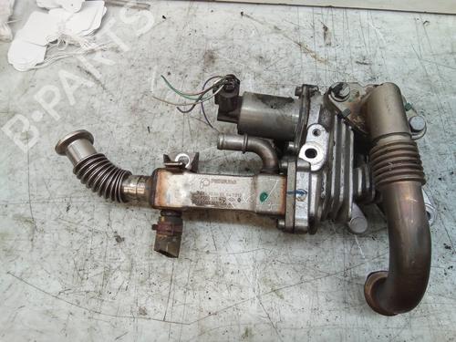 Egr RENAULT SCÉNIC II (JM0/1_) 1.9 dCi (JM0G, JM12, JM1G, JM2C) | BP14054158M69 