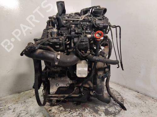 Engine VW POLO V (6R1, 6C1) 1.2 TDI | BP25283640M1 