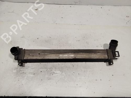 Intercooler RENAULT SCÉNIC III (JZ0/1_) [2008-2016]  23075525