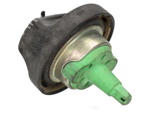 Fuel flap BMW X5 (E53) 3.0 i | BP29982614C131