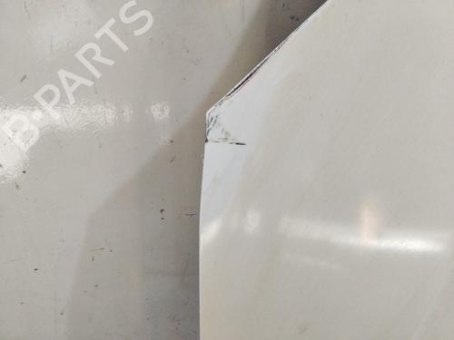 Hood FORD FIESTA V (JH_, JD_) 1.4 TDCi | BP19518742C1 