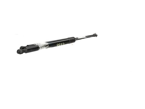 Tailgate lift support VW GOLF VII (5G1, BQ1, BE1, BE2)  | BP29396034C138 
