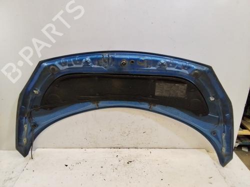 Hood RENAULT GRAND SCÉNIC II (JM0/1_) 1.9 dCi (JM0G, JM12, JM1G, JM2C) | BP18246643C1 