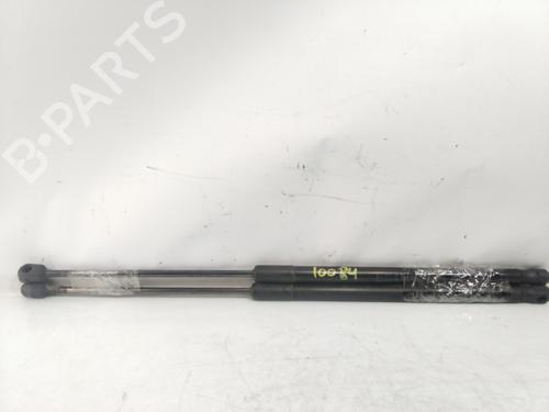 Used Tailgate lift support BMW X1 (E84) sDrive 20 d (177 hp) 30058476