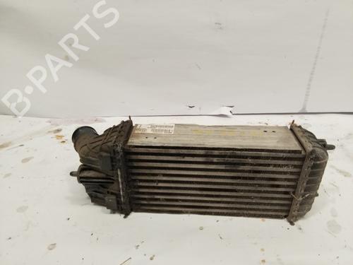 Intercooler CITROËN C4 II (NC_)  | BP25858290M30 