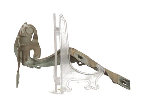 Hinge/Door check strap CITROËN C3 II (SC_)  | BP29464188C146 
