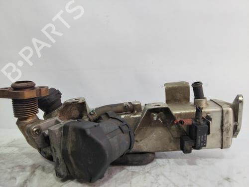 Egr BMW 3 (E36)  | BP23146475M69 