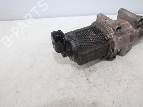 Egr FIAT STILO (192_) 1.9 D Multijet | BP16190629M69 