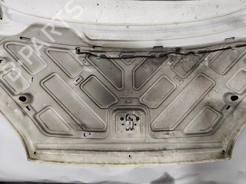 Panser FORD C-MAX (DM2) 1.6 TDCi | BP30391301C1 