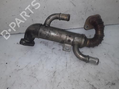 EGR-Ventil SEAT IBIZA III (6L1) [2002-2009]  14054222