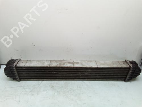 Used Intercooler MERCEDES-BENZ A-CLASS (W169) A 160 CDI (169.006, 169.306) (82 hp) 8583934