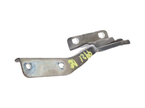 Hinge/Door check strap NISSAN QASHQAI I (J10, NJ10)  | BP29928856C146 