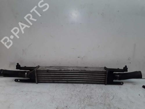 Used Intercooler FIAT GRANDE PUNTO (199_) [2005-2025]  8575954