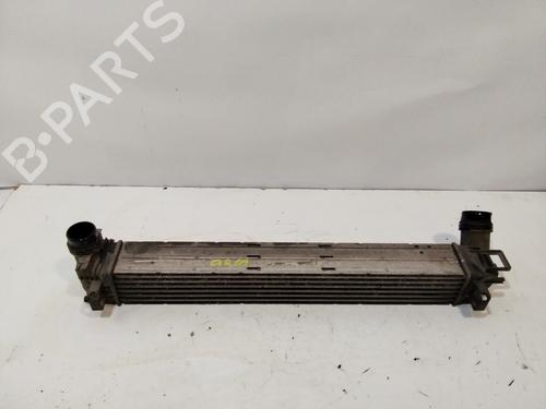 Used Intercooler RENAULT MEGANE III Grandtour (KZ0/1) [2008-2016]  29905042
