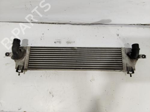 Used Intercooler NISSAN QASHQAI I (J10, NJ10) [2006-2015]  31604073