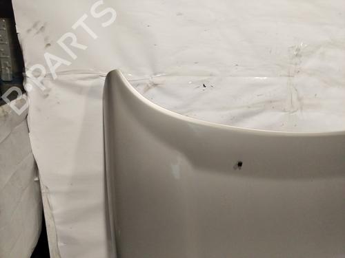 Hood LAND ROVER FREELANDER I (L314)  | BP22275905C1 