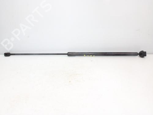 Used Hood lift support RENAULT MEGANE III Grandtour (KZ0/1) [2008-2016]  16295205